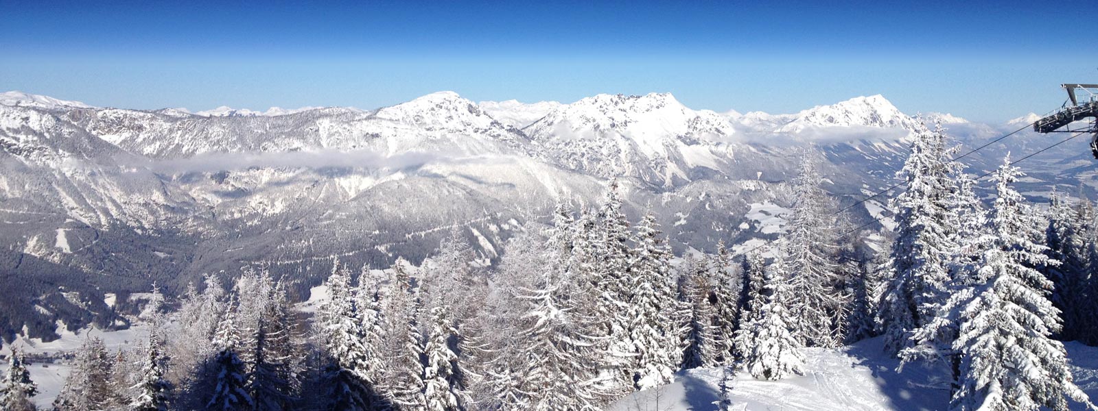 Ski Servicing